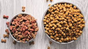 Royal Canin vs Hills Science diet dog food comparison
